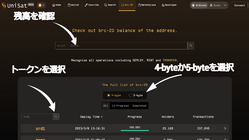 BRC20トークン画面の見方