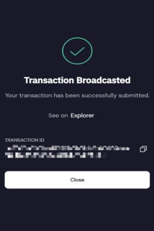 Transaction Brroadcasted