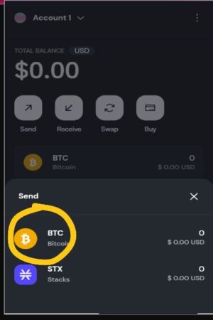 BTCSend