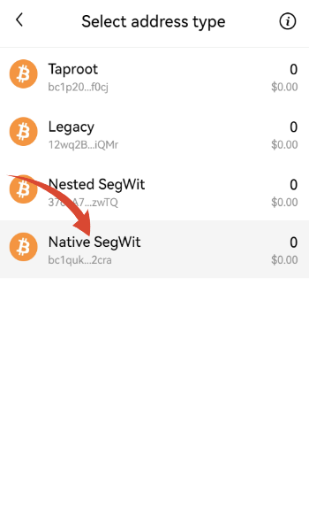 NativeSegwitアドレスを選択します